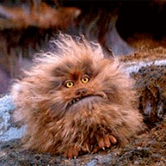 Profile Picture of Jeremy McReynolds (@JXZ_jeremy) on Twitter