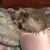 Profile Picture of Myron Steeves (@myron.steeves.79) on Facebook