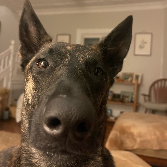 Profile Picture of Cassandra Julian (@lebelchristy) on Poshmark