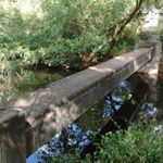 Profile Picture of Chad Carman (@chad.carman) on Instagram