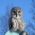 Profile Picture of Hans Erik Edlund (@64he) on Instagram