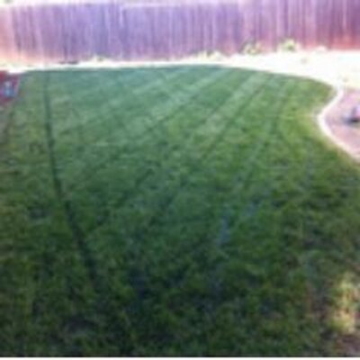 Profile Picture of Ernie TRACY (@tracy14ernest) on Twitter