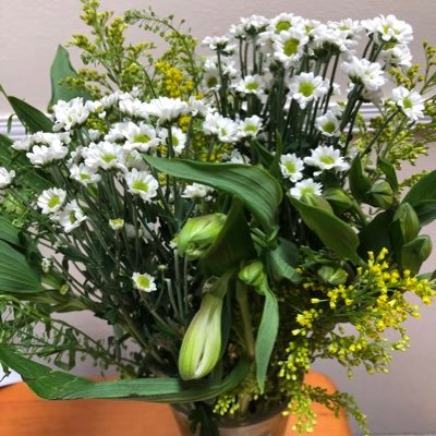 Profile Picture of Bhavini Patel (@PatelBhavini) on Twitter