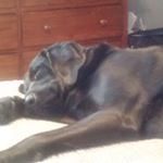 Profile Picture of Heather Foye (@hld1275) on Instagram