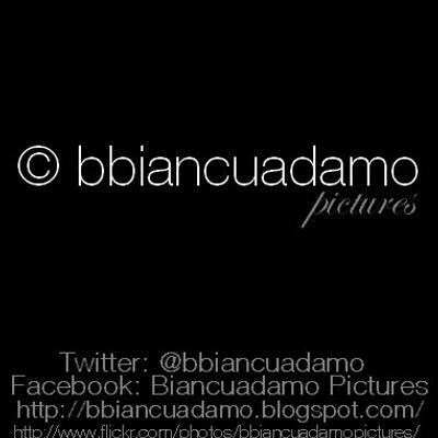 Profile Picture of Bianca F. Adamo ~ (@bbiancuadamo) on Twitter