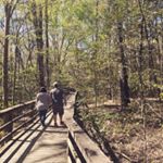 Profile Picture of Ashton Stephens (@forever_reading_romance) on Instagram