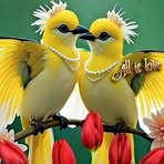 Profile Picture of Zeynu Mohammed (@Zeynu-Mohammed) on Facebook