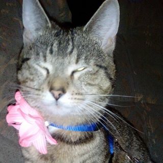 Heidi Rose - Facebook Profile Picture of Heidi Rose (@Heidi-Rose) on Facebook