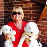 Profile Picture of Sally Hook (@sallyleeh) on Instagram