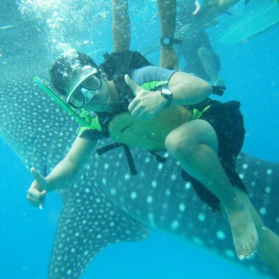 Profile Picture of Jeff Carino (@jjcarino05) on Twitter