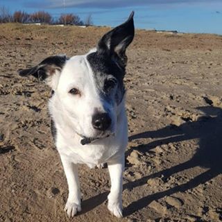 Profile Picture of Marc Johnson (@marc.johnson.313371) on Facebook