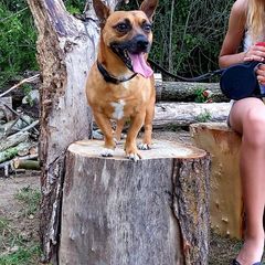 Profile Picture of Carla Hendriks (@@carlahendriks) on Tiktok