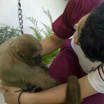 Profile Picture of Jose Francisco Portés Cevallos (@joseportesc) on Instagram