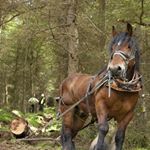 Profile Picture of Richard Seager (@seagerrj80) on Instagram