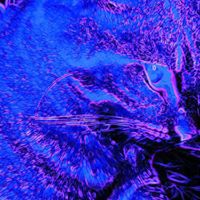 Omar Alkhalidi - Quora Profile Picture of Omar Alkhalidi (@omar-alkhalidi) on Quora