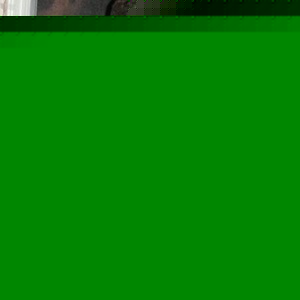 Profile Picture of Charlie Hudson (@cdrstone725) on Myspace