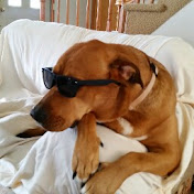 Profile Picture of Daniel Moruzzi (@danielmoruzzi6449) on Youtube