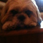 Profile Picture of gormleyerica123 (@gormleyerica123) on Instagram