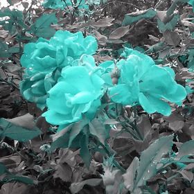 Profile Picture of Jasmine Hines (@jhines615) on Pinterest