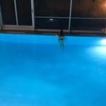 Profile Picture of Martina Basaglia (@martina_basaglia) on Instagram