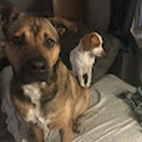 Profile Picture of Carlos Aispuro (@carlos-aispuro-4) on Quora