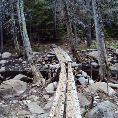 Profile Picture of Andrew Daab (@Ruppuppupp67) on Twitter