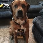 Profile Picture of Jason Witkowski (@witkowski.jason) on Instagram