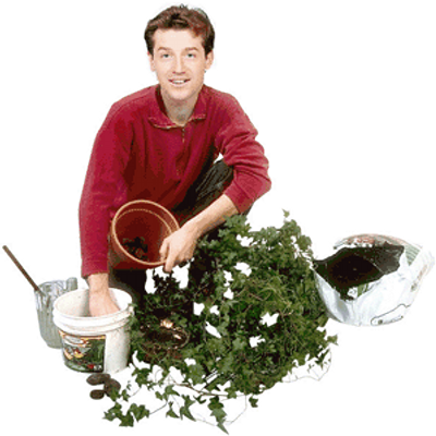 Profile Picture of Adam Eden (@GardeningManiac) on Twitter