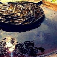 Profile Picture of Mark Mcnaught (@mark-mcnaught-2) on Quora