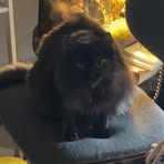 Profile Picture of Harrison Walters (@Harrison-Walters) on Facebook