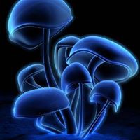 Profile Picture of Yazmin Sanchez (@yazmin-sanchez-43) on Quora