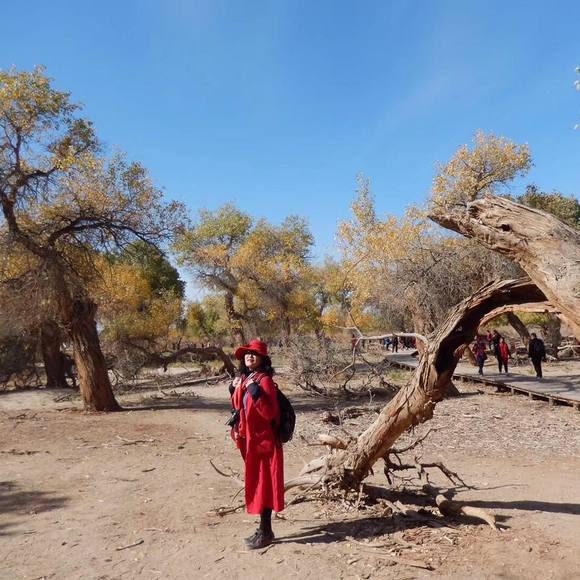 Profile Picture of Wei Zhang (@vivan58) on Poshmark