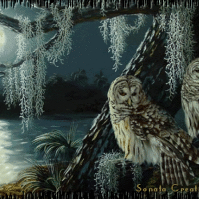 Profile Picture of Julia Trahan (@cajundream40) on Twitter