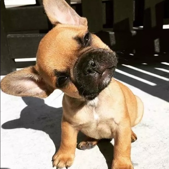 Profile Picture of Raymond Nieves (@ray11385) on Poshmark