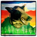 Profile Picture of Ronald Esposito (@simonixelse) on Instagram