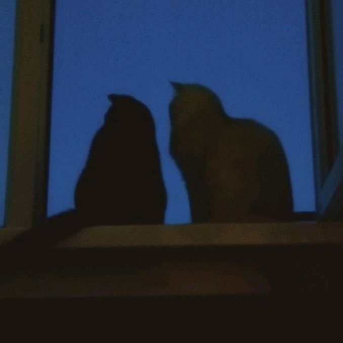 Profile Picture of Julia (@julia9pov) on Tiktok