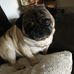 Profile Picture of Tracey Thomas Stubbins (@tracey.thomasstubbins) on Facebook