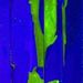 Profile Picture of Michael Gill-tolar (@gilltolar) on Pinterest