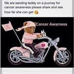 Profile Picture of Stephen Bottomley (@stephen.bottomley.104) on Instagram