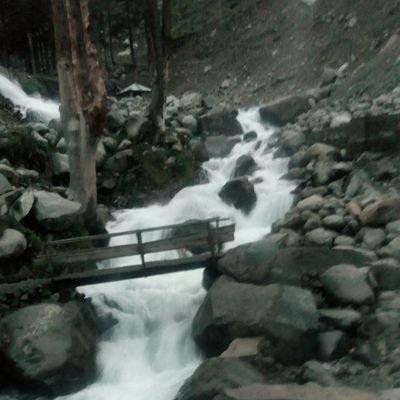 Profile Picture of Batool Malik (@pakprincess_) on Twitter