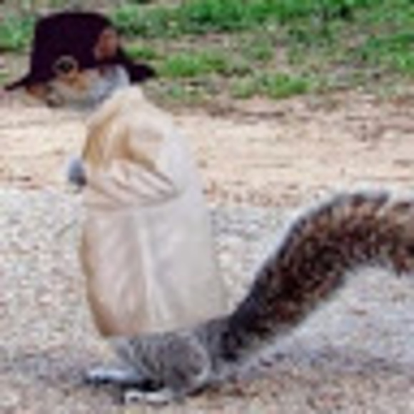 Secret Squirrel - Poshmark Profile Picture of Secret Squirrel (@snowyriver00) on Poshmark