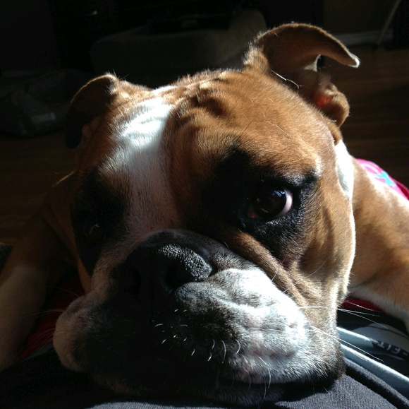 Profile Picture of Theo Jones (@tdjones503) on Poshmark