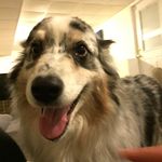 Profile Picture of Madison Hoyt (@madison.bhs) on Instagram