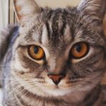 Profile Picture of Erika (@erika_lankovich) on Instagram