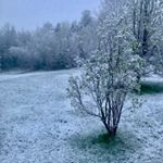 Profile Picture of Erika Heino (@frozeninnewengland) on Instagram