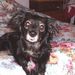 Profile Picture of Ruth Gergits (@ruthgergits) on Pinterest