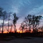 Profile Picture of Paula Venhoff (@paulavenhoff) on Instagram