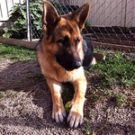 Profile Picture of Alice King (@Lorrelline) on Flickr