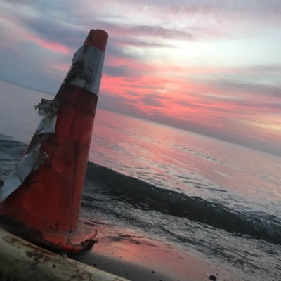 Timothy The Traffic Cone - Twitter Profile Picture of Timothy The Traffic Cone (@TimTrafficCone) on Twitter