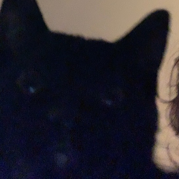 Profile Picture of Brittney Senkowski (@brittneyagreste) on Poshmark